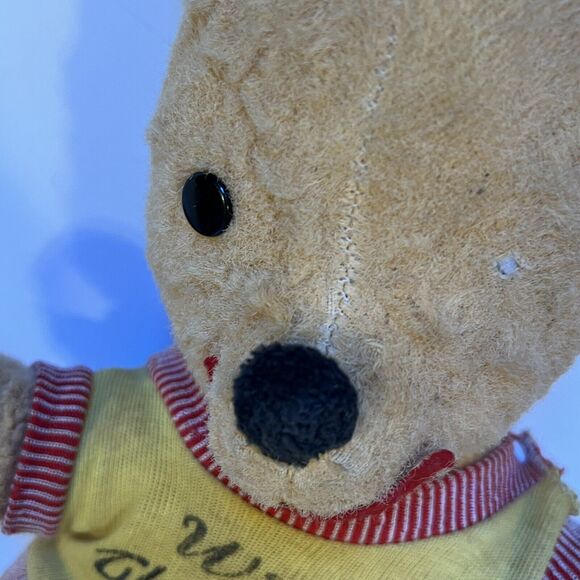 Haunted Winnie the Pooh Gund J Swedlin Walt Disney Plush Stuffed Halloween - Picture 7 of 16